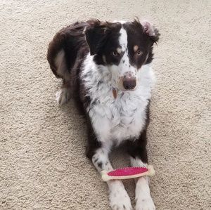 Meet your Posher, Chris